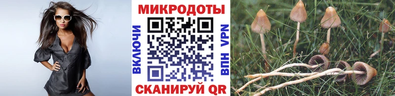 Купить где Лаишево Псилоцибиновые грибы ЛСД